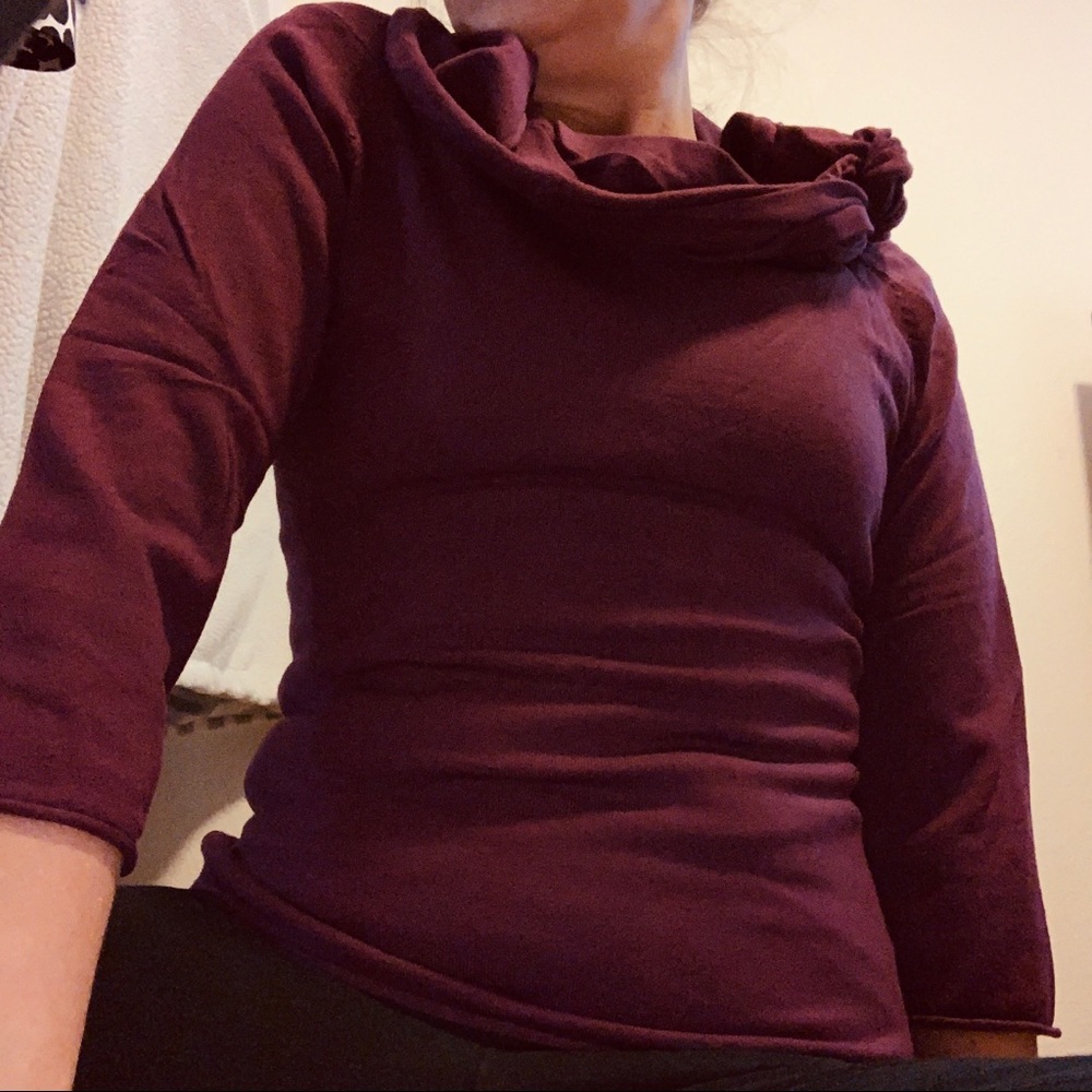 GASCO Wine Fitted Wide Collar Sweater
